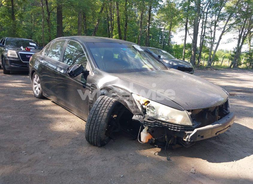 2010 Honda Accord 3.5 EX-L (VIN 1HGCP3F87AA011517) main photo