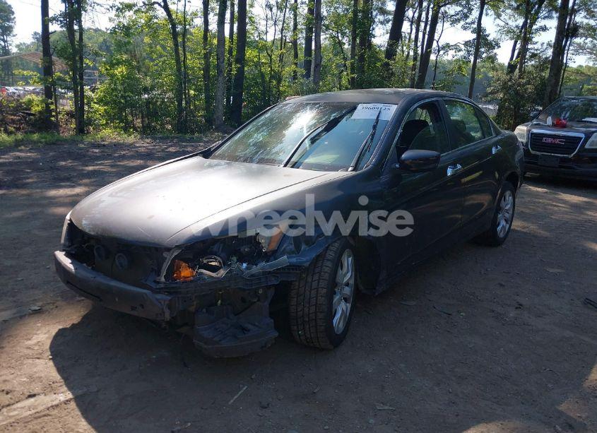 Photo 2 of 2010 Honda Accord 3.5 EX-L (VIN 1HGCP3F87AA011517)