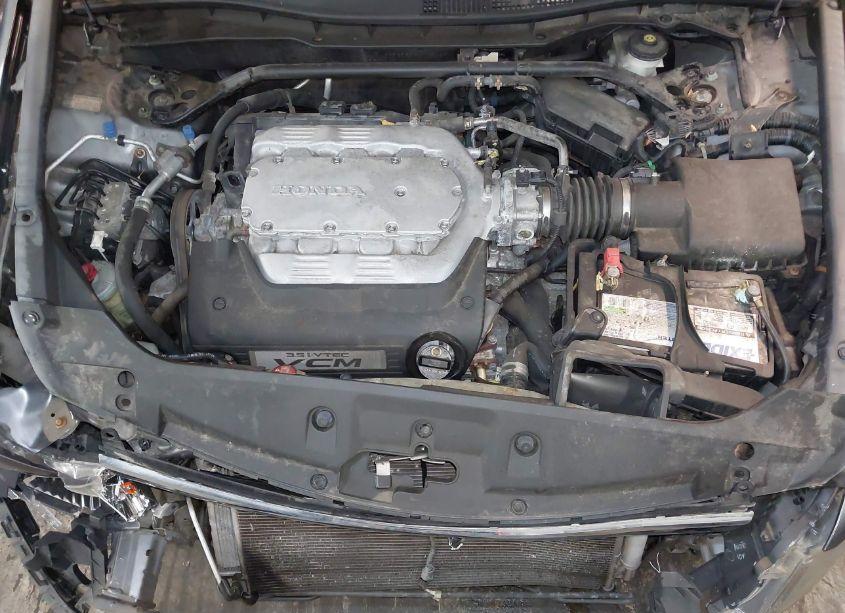 Photo 10 of 2011 Honda Accord 3.5 EX-L (VIN 1HGCP3F87BA008733)