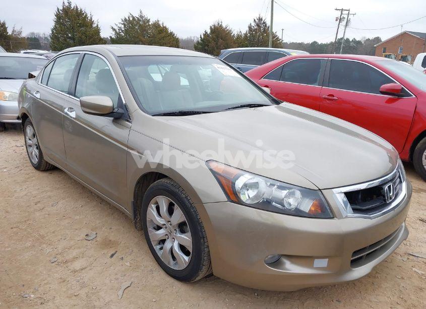 2010 Honda Accord 3.5 EX-L (VIN 1HGCP3F88AA004690) main photo