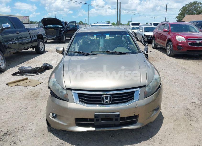 Photo 11 of 2010 Honda Accord 3.5 EX-L (VIN 1HGCP3F88AA007606)