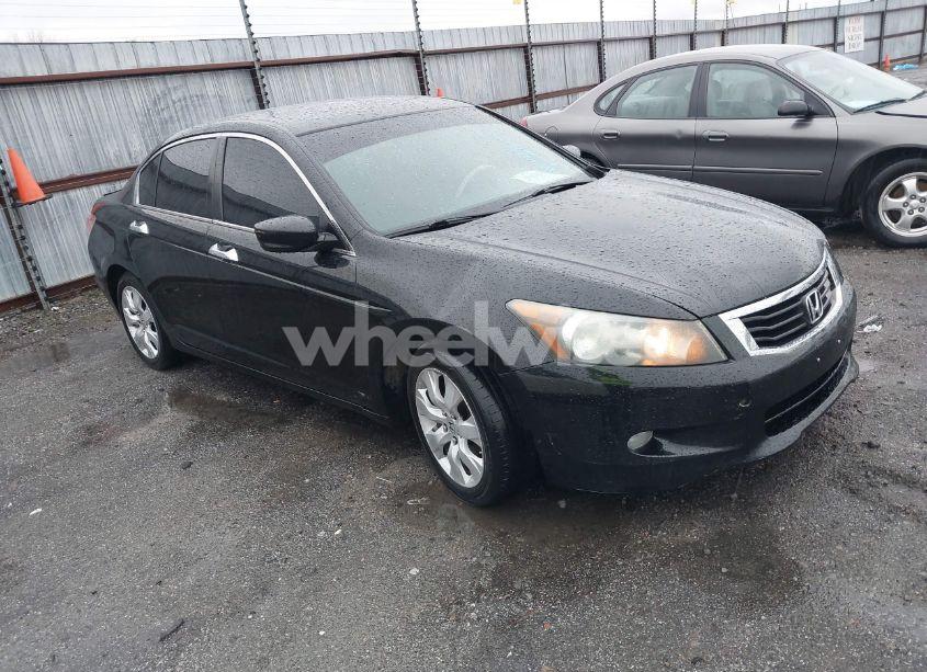 2010 Honda Accord 3.5 EX-L (VIN 1HGCP3F88AA014295) main photo
