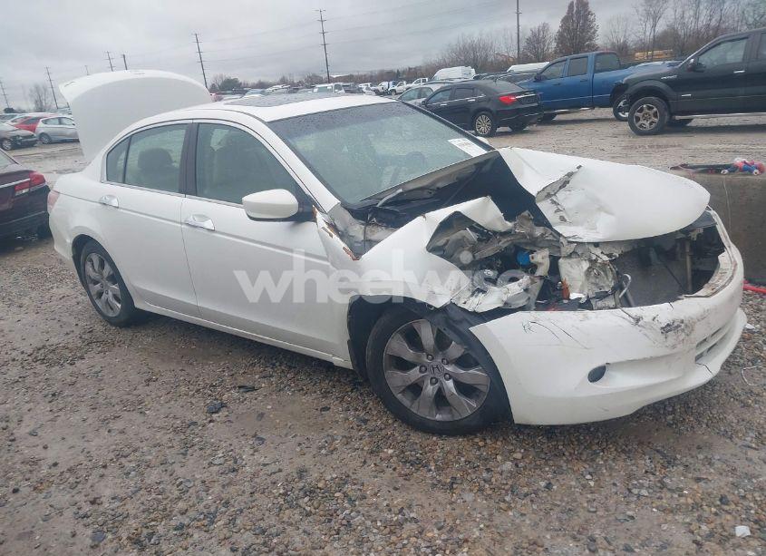 2010 Honda Accord 3.5 EX-L (VIN 1HGCP3F88AA026415) main photo