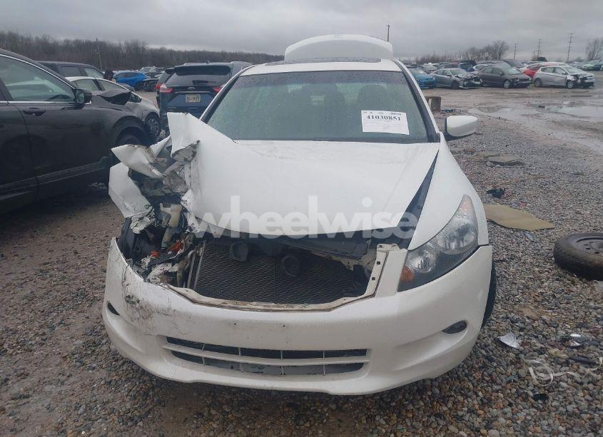 Photo 11 of 2010 Honda Accord 3.5 EX-L (VIN 1HGCP3F88AA026415)