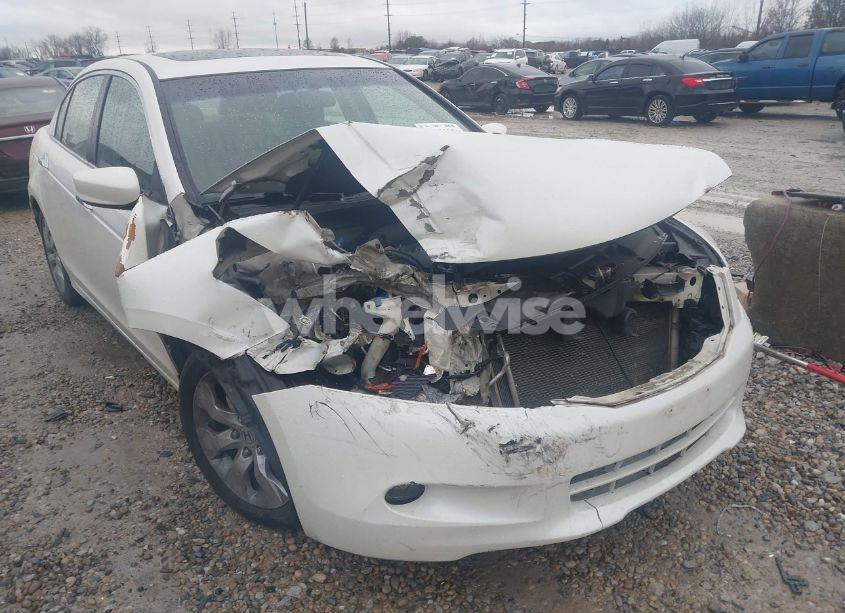 Photo 6 of 2010 Honda Accord 3.5 EX-L (VIN 1HGCP3F88AA026415)