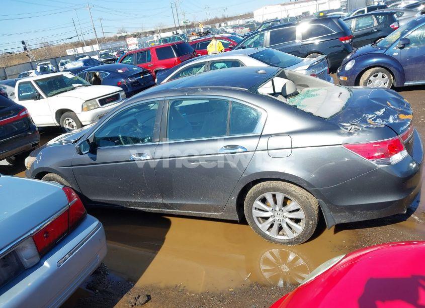 Photo 14 of 2011 Honda Accord 3.5 EX-L (VIN 1HGCP3F88BA015285)