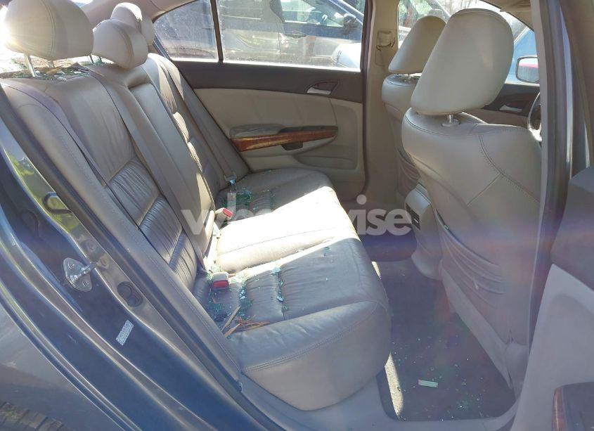 Photo 8 of 2011 Honda Accord 3.5 EX-L (VIN 1HGCP3F88BA015285)