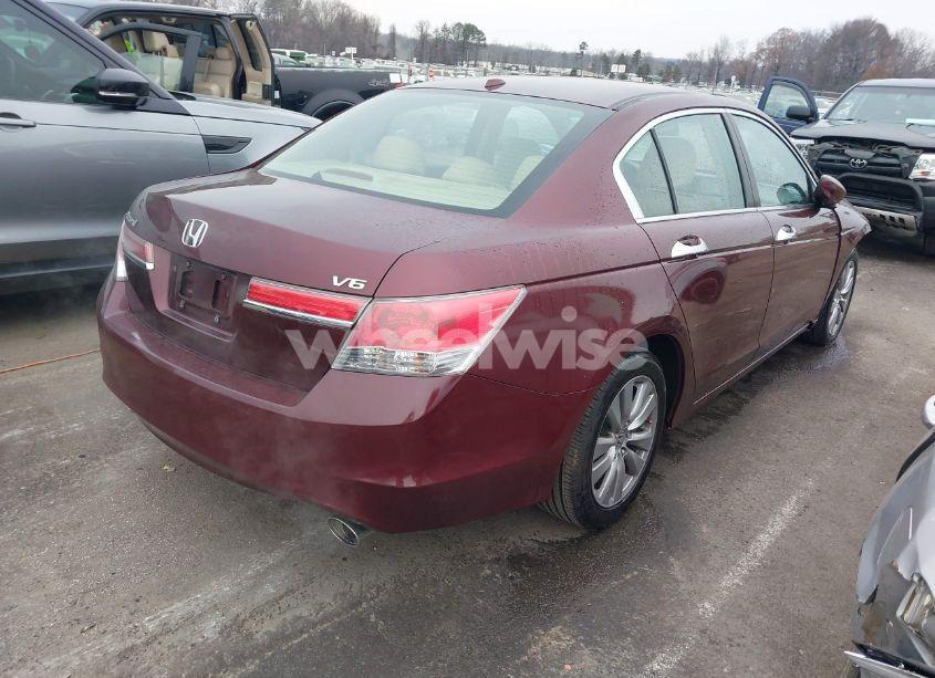 Photo 4 of 2011 Honda Accord 3.5 EX-L (VIN 1HGCP3F88BA025766)