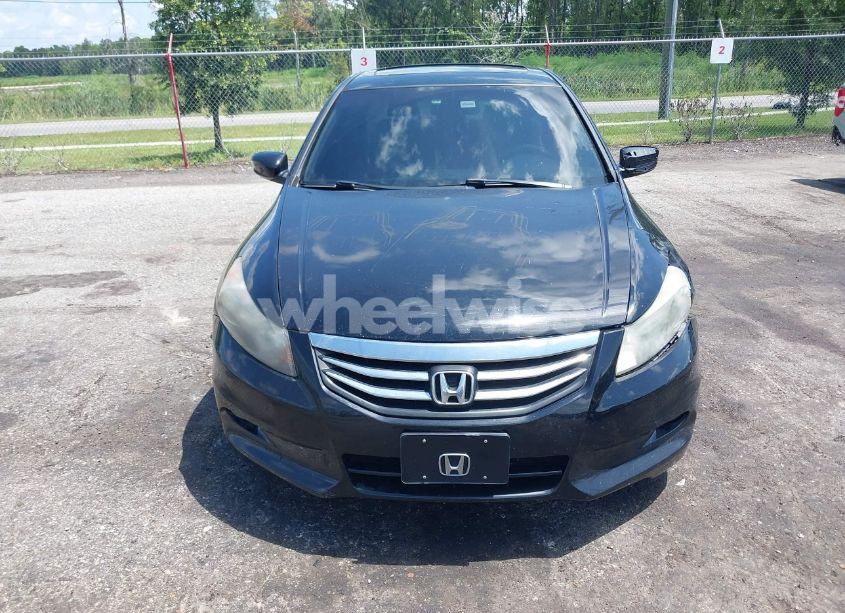 Photo 13 of 2011 Honda Accord 3.5 EX-L (VIN 1HGCP3F88BA032555)