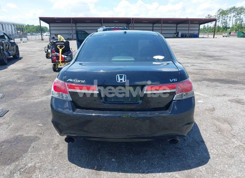 Photo 17 of 2011 Honda Accord 3.5 EX-L (VIN 1HGCP3F88BA032555)