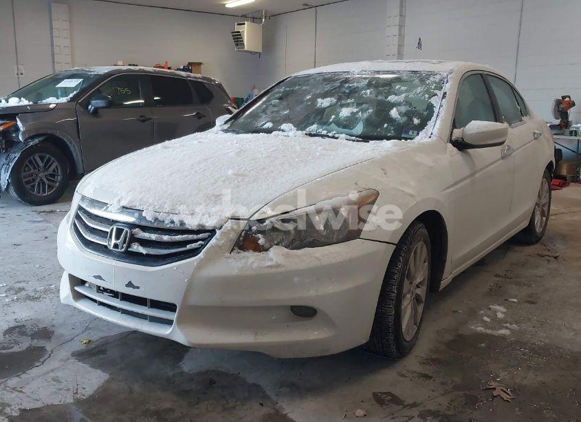 Photo 2 of 2012 Honda Accord 3.5 EX-L (VIN 1HGCP3F88CA012517)