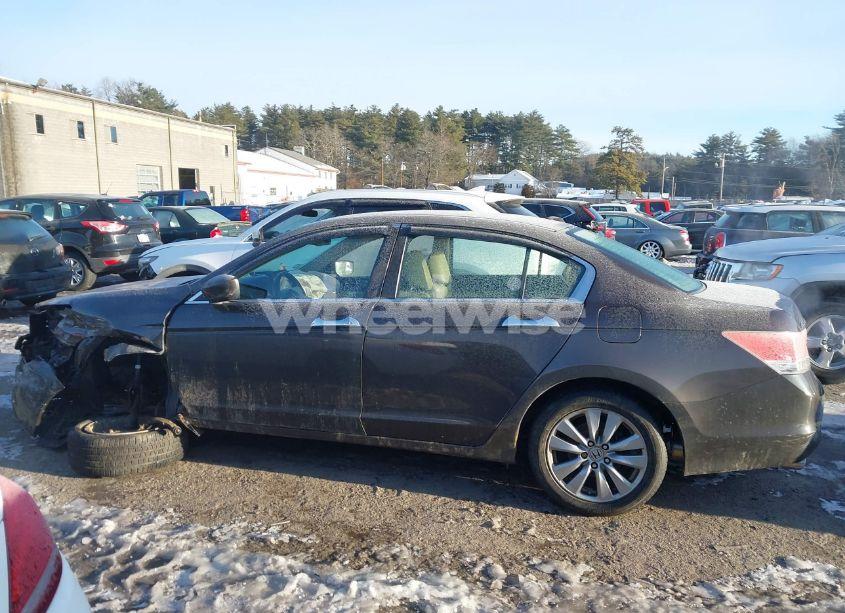 Photo 14 of 2012 Honda Accord 3.5 EX-L (VIN 1HGCP3F88CA026143)
