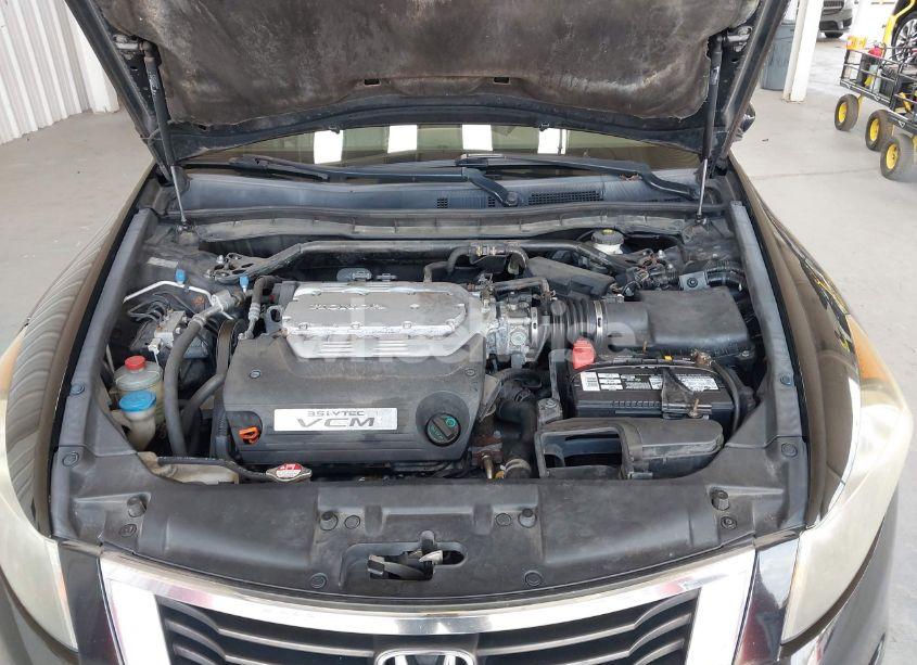 Photo 10 of 2010 Honda Accord 3.5 EX-L (VIN 1HGCP3F89AA018243)