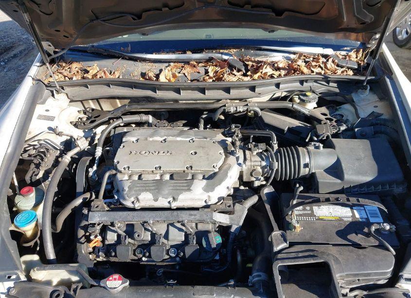 Photo 10 of 2010 Honda Accord 3.5 EX-L (VIN 1HGCP3F89AA028254)
