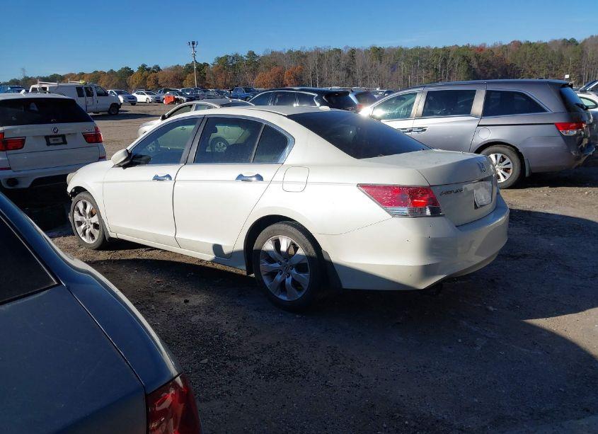 Photo 14 of 2010 Honda Accord 3.5 EX-L (VIN 1HGCP3F89AA028254)