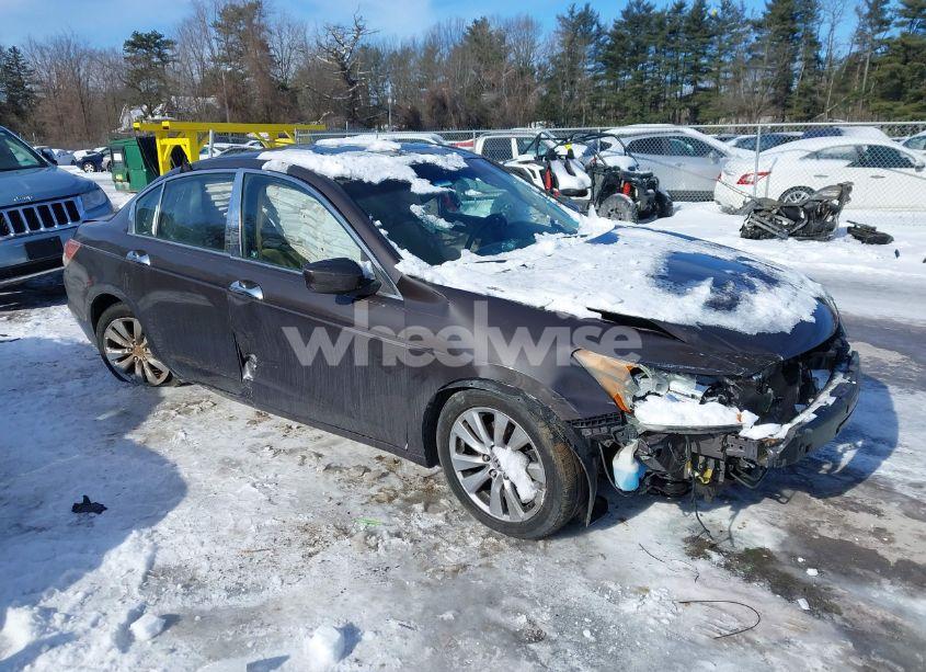 2011 Honda Accord 3.5 EX-L (VIN 1HGCP3F89BA006563) main photo
