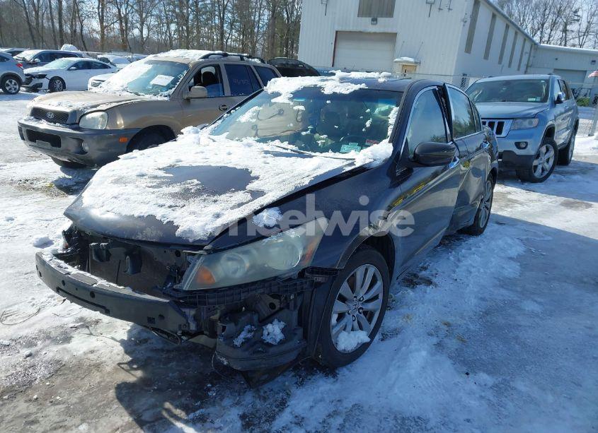 Photo 6 of 2011 Honda Accord 3.5 EX-L (VIN 1HGCP3F89BA006563)