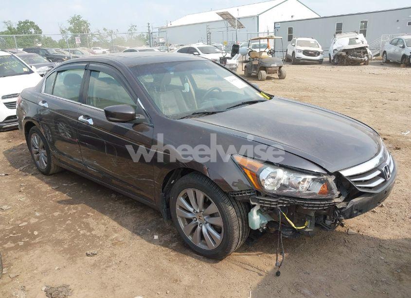 2011 Honda Accord 3.5 EX-L (VIN 1HGCP3F89BA021080) main photo