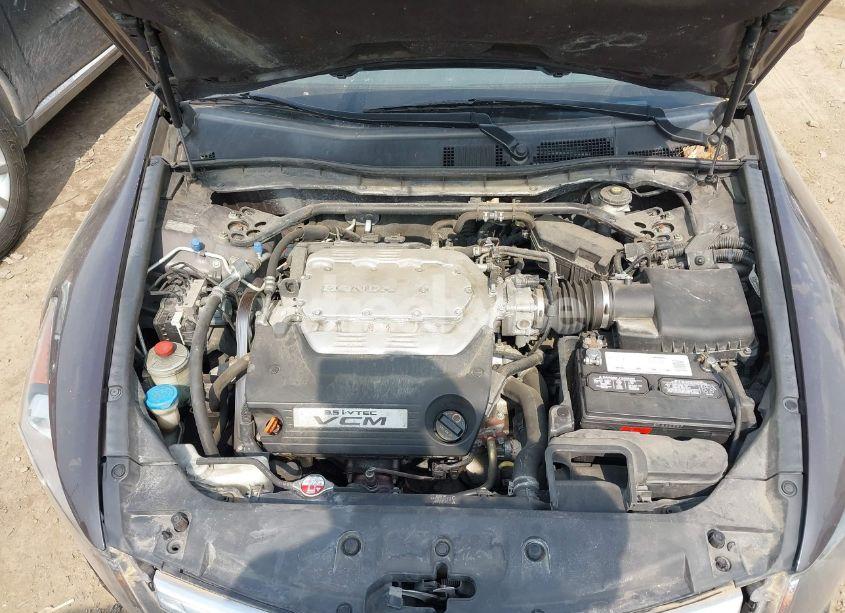 Photo 10 of 2011 Honda Accord 3.5 EX-L (VIN 1HGCP3F89BA021080)