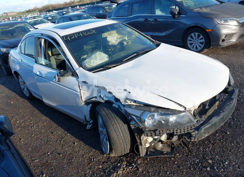 2010 Honda Accord 3.5 EX-L (VIN 1HGCP3F8XAA016985) main photo