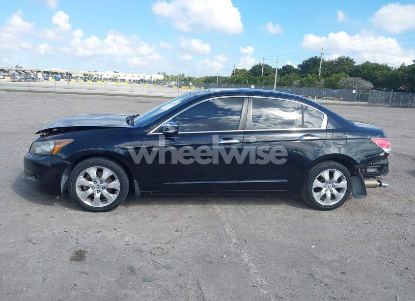 Photo 14 of 2010 Honda Accord 3.5 EX-L (VIN 1HGCP3F8XAA023015)