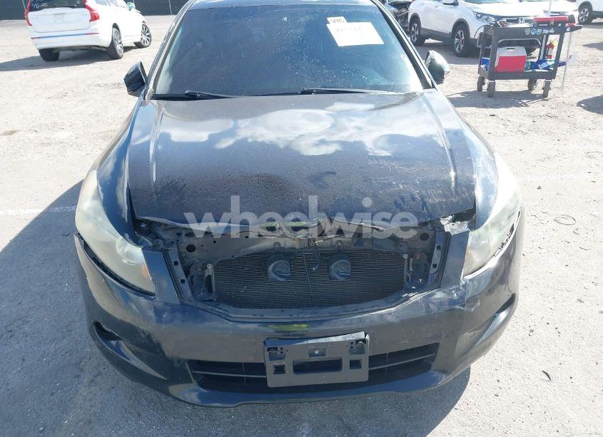 Photo 6 of 2010 Honda Accord 3.5 EX-L (VIN 1HGCP3F8XAA023015)