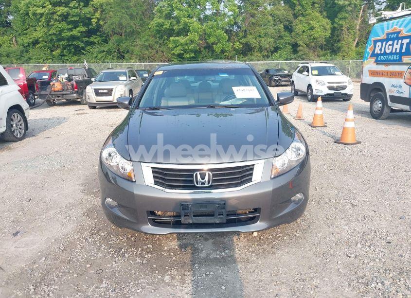 Photo 13 of 2010 Honda Accord 3.5 EX-L (VIN 1HGCP3F8XAA028599)