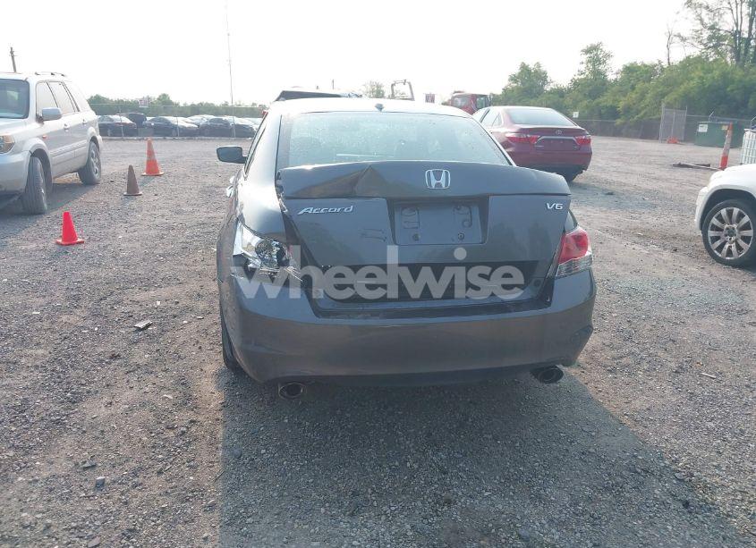 Photo 17 of 2010 Honda Accord 3.5 EX-L (VIN 1HGCP3F8XAA028599)