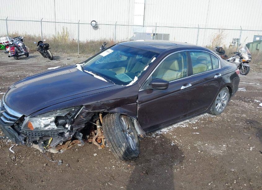 Photo 2 of 2011 Honda Accord 3.5 EX-L (VIN 1HGCP3F8XBA005454)