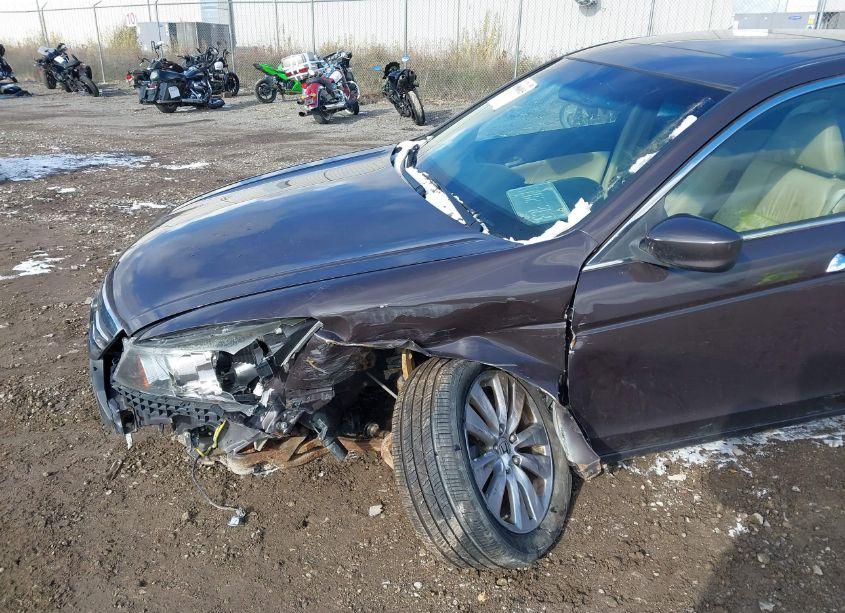 Photo 6 of 2011 Honda Accord 3.5 EX-L (VIN 1HGCP3F8XBA005454)