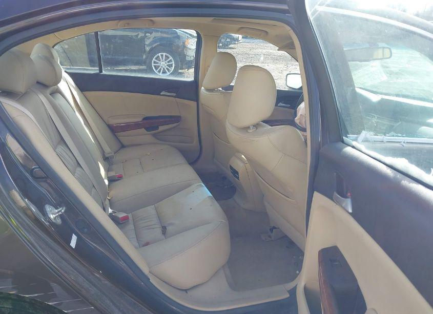 Photo 8 of 2011 Honda Accord 3.5 EX-L (VIN 1HGCP3F8XBA005454)