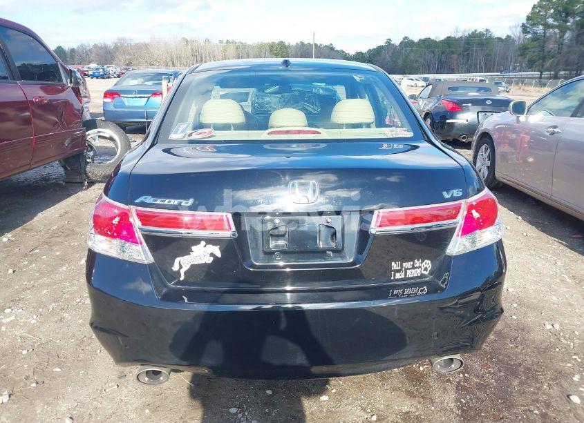 Photo 16 of 2011 Honda Accord 3.5 EX-L (VIN 1HGCP3F8XBA013327)