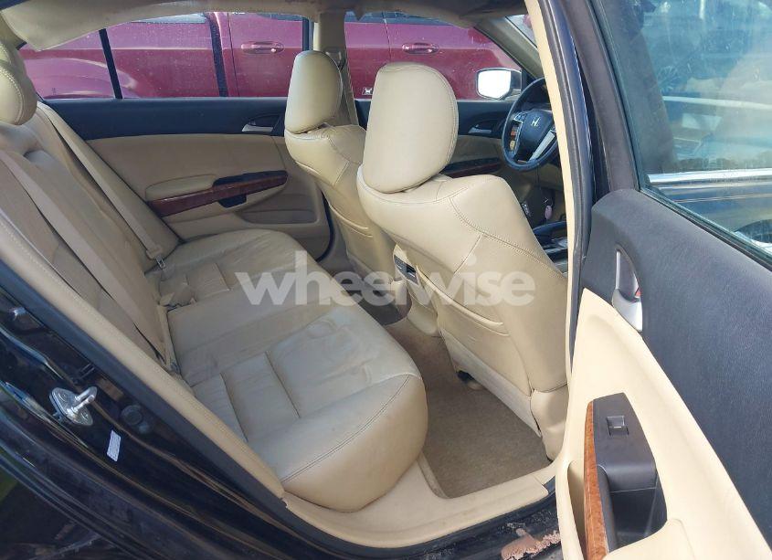 Photo 8 of 2011 Honda Accord 3.5 EX-L (VIN 1HGCP3F8XBA013327)