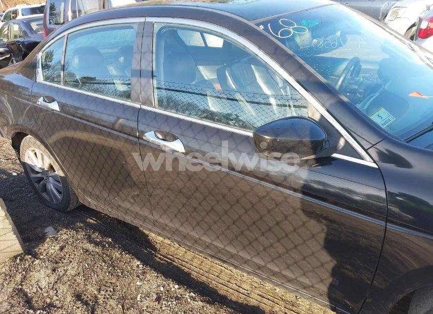 Photo 13 of 2011 Honda Accord 3.5 EX-L (VIN 1HGCP3F8XBA013733)