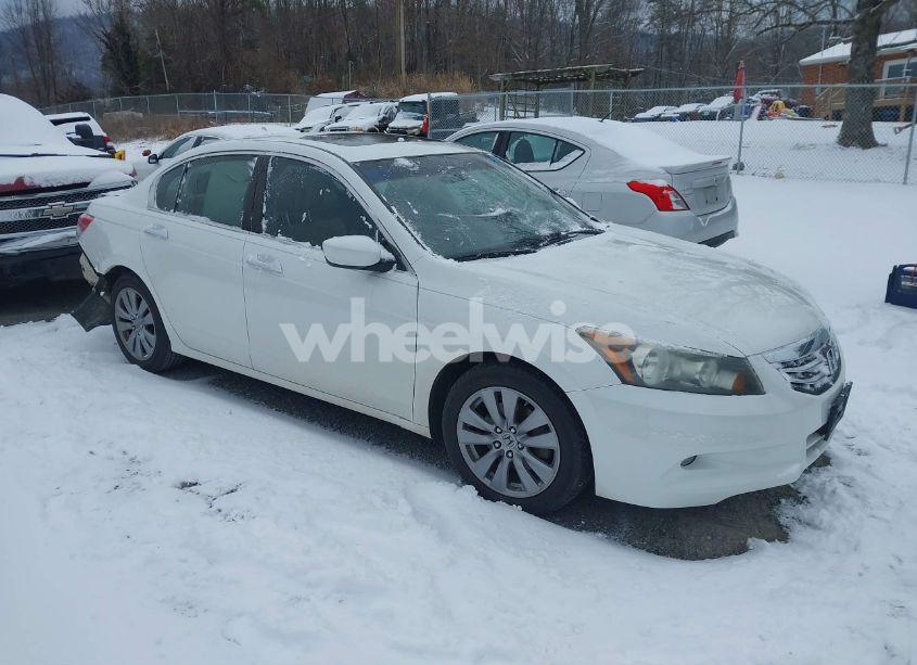 2011 Honda Accord 3.5 EX-L (VIN 1HGCP3F8XBA024232) main photo