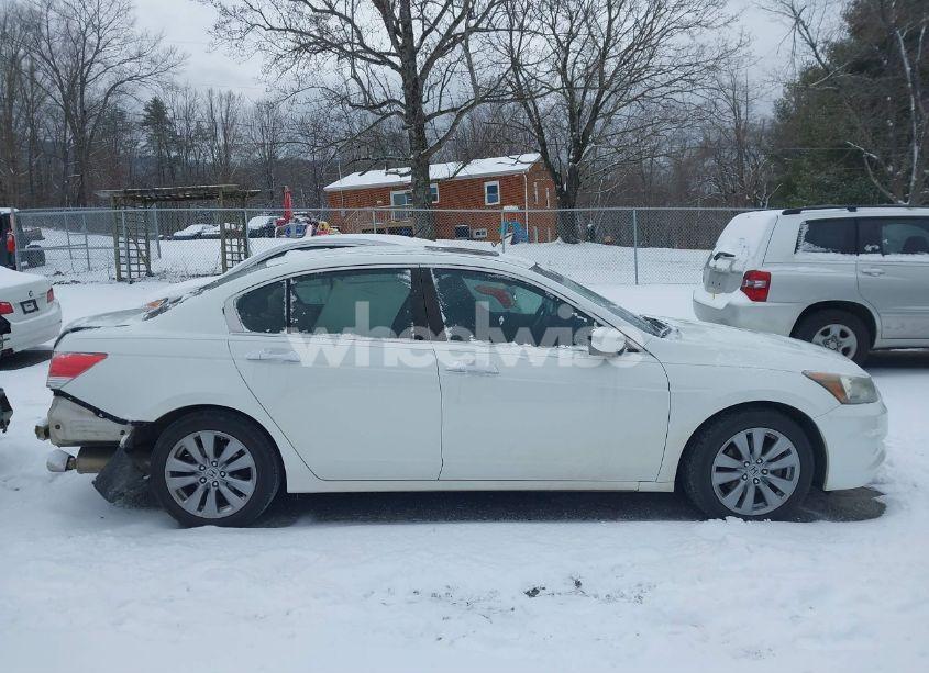 Photo 14 of 2011 Honda Accord 3.5 EX-L (VIN 1HGCP3F8XBA024232)