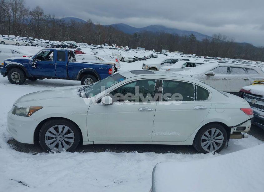 Photo 15 of 2011 Honda Accord 3.5 EX-L (VIN 1HGCP3F8XBA024232)