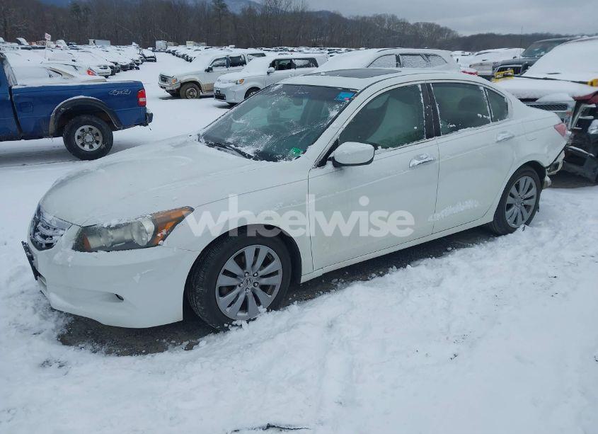 Photo 2 of 2011 Honda Accord 3.5 EX-L (VIN 1HGCP3F8XBA024232)