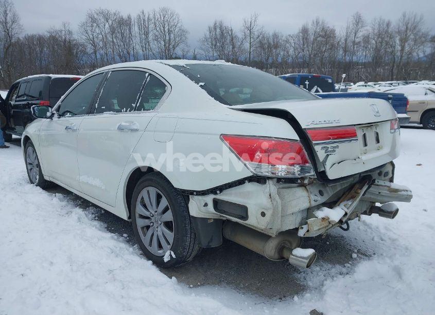 Photo 6 of 2011 Honda Accord 3.5 EX-L (VIN 1HGCP3F8XBA024232)