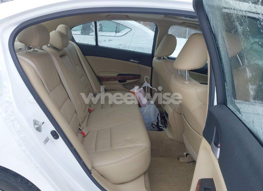 Photo 8 of 2011 Honda Accord 3.5 EX-L (VIN 1HGCP3F8XBA024232)