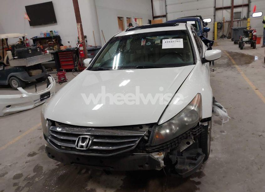 Photo 13 of 2012 Honda Accord 3.5 EX-L (VIN 1HGCP3F8XCA010428)