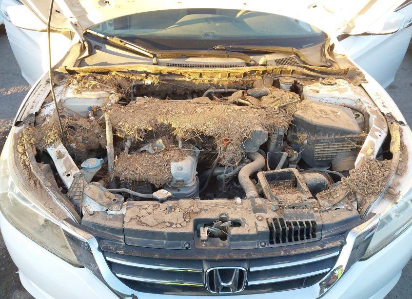 Photo 10 of 2013 Honda Accord LX (VIN 1HGCR2F34DA168001)