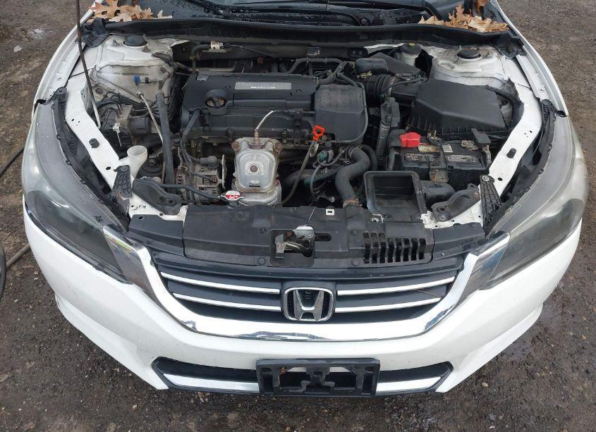 Photo 10 of 2014 Honda Accord LX (VIN 1HGCR2F35EA117754)