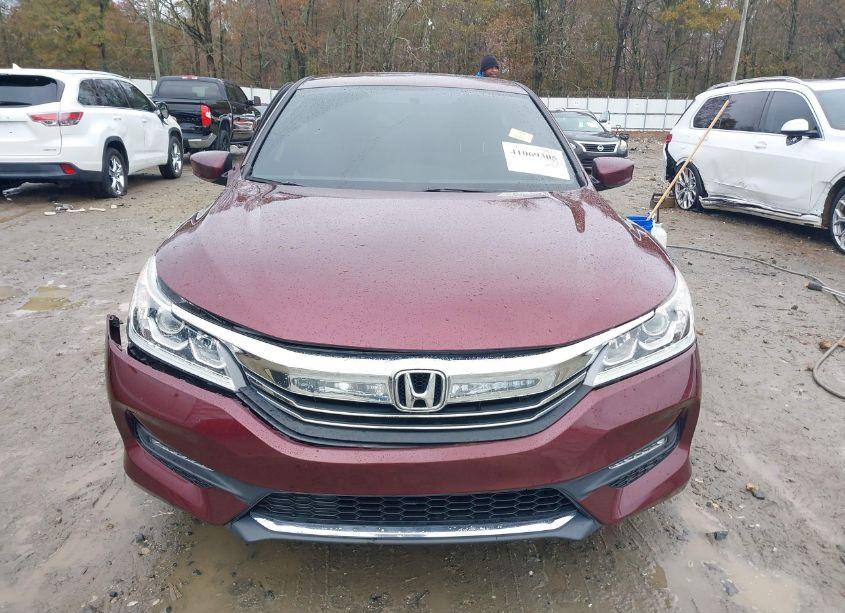 Photo 12 of 2016 Honda Accord SPORT (VIN 1HGCR2F52GA051443)