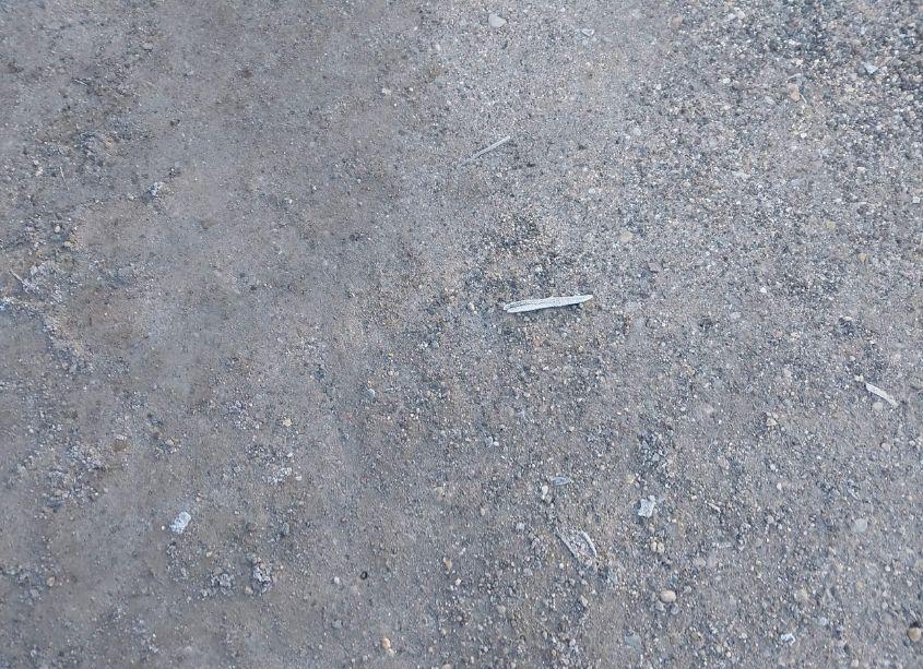 Photo 12 of 2017 Honda Accord SPORT (VIN 1HGCR2F52HA196130)