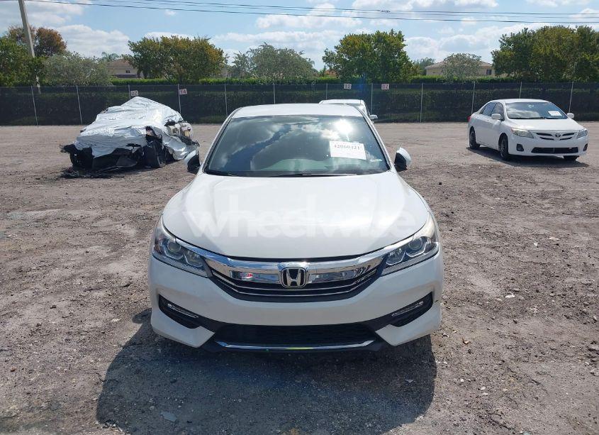 Photo 6 of 2016 Honda Accord SPORT (VIN 1HGCR2F54GA146294)