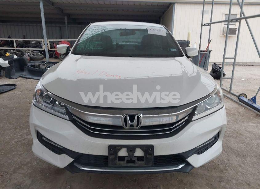 Photo 13 of 2016 Honda Accord SPORT (VIN 1HGCR2F55GA198694)