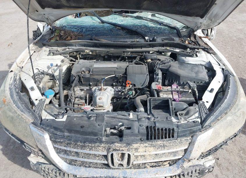 Photo 10 of 2014 Honda Accord EX (VIN 1HGCR2F79EA162005)