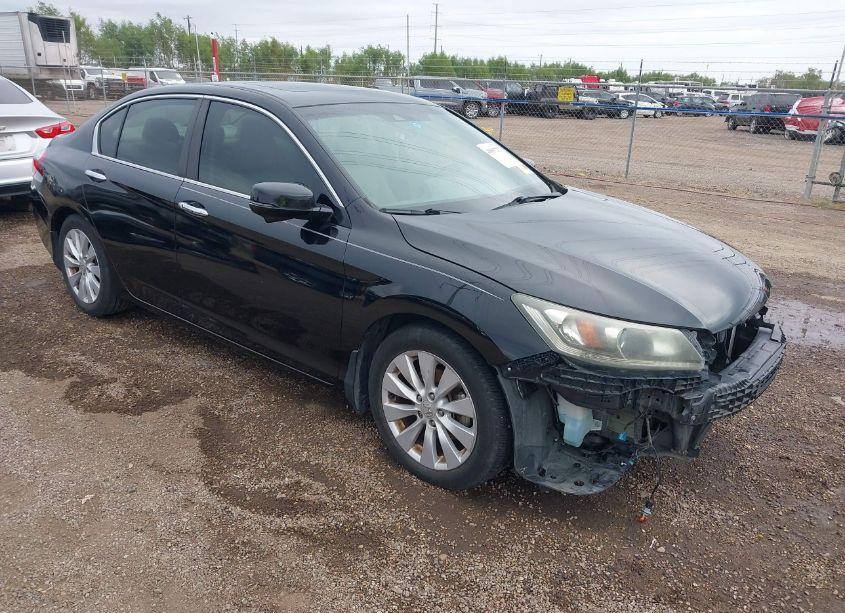 2013 Honda Accord EX-L (VIN 1HGCR2F80DA109202) main photo