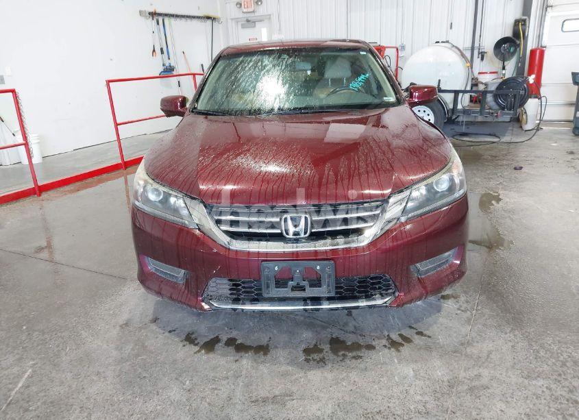 Photo 12 of 2013 Honda Accord EX-L (VIN 1HGCR2F80DA182375)